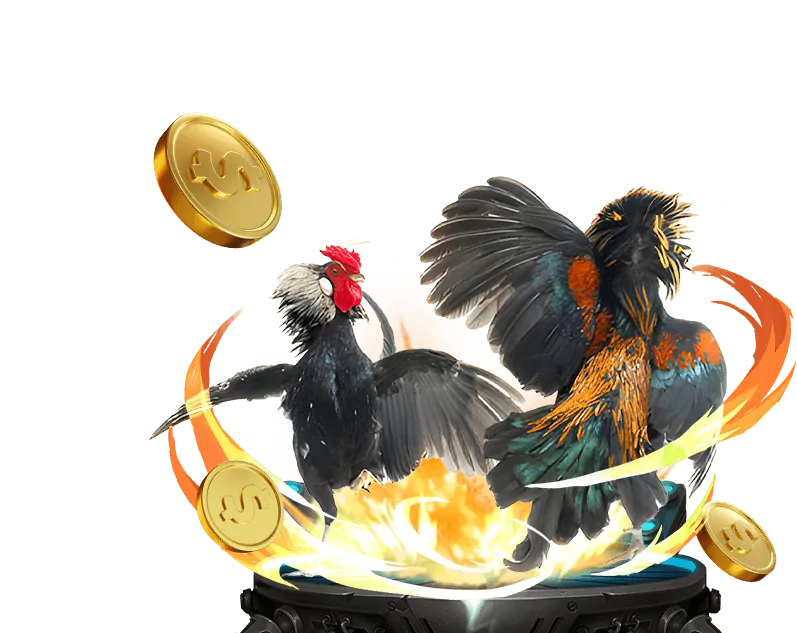 Tổng quan nền tảng sòng bạc Kubet